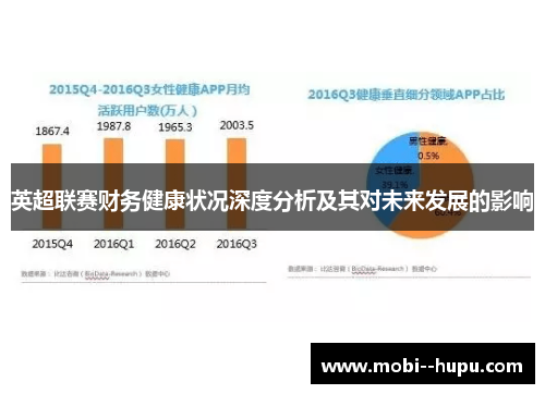 英超联赛财务健康状况深度分析及其对未来发展的影响