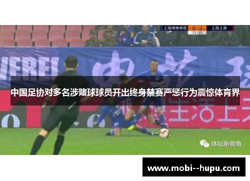中国足协对多名涉赌球球员开出终身禁赛严惩行为震惊体育界