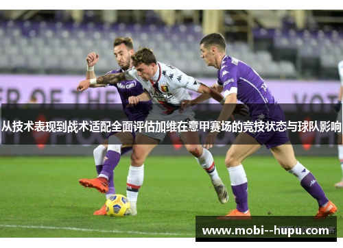 从技术表现到战术适配全面评估加维在意甲赛场的竞技状态与球队影响